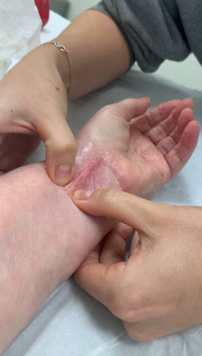 Sinergia Fisioterapia 1445